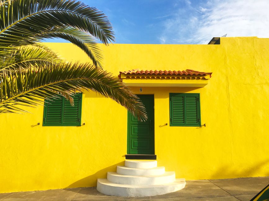 Yellow house front with green shutters and a palm tree.